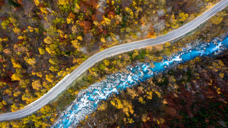 drone view of the picturesque road along the riverの写真素材