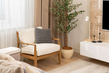 Armchair with a pillow in a modern interior in light colorsの写真素材