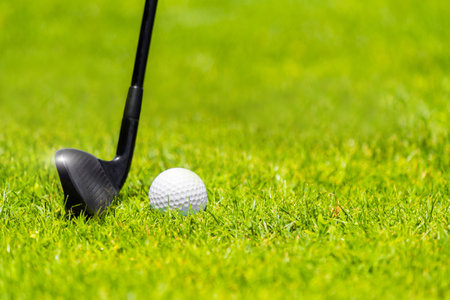 Golf ball and golf club on green grass on golf courseの写真素材
