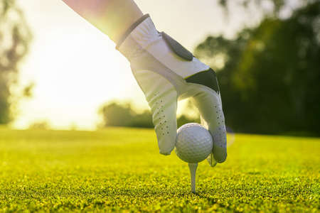 Closeup of golfer wearing glove placing golf ball on a tee at golf courseの写真素材