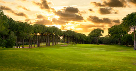 Golf course at sunset with beautiful dramatic sky. Scenic panoramic view of golf fairway. Beautiful golf field with pinesの写真素材