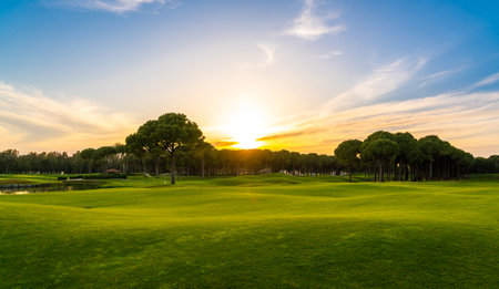 Panorama of golf course at sunset with beautiful sky. Scenic panoramic view of golf fairway. Golf field with pinesの写真素材