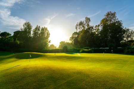 Putting green on golf course to practice the putter golf shot. Training area with many holes with flagsの写真素材