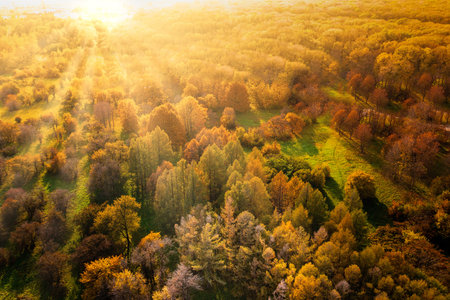 Sunset over the autumn forest. Long shadows. Drone view
