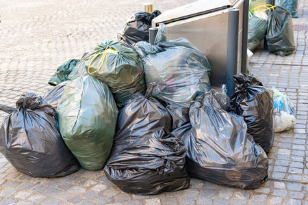 Several plastic bags of garbage next to the container. The problem of cleaning in citiesの写真素材