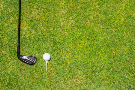 Top view of golf club on a green grass on golf courseの写真素材