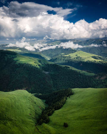 Panorama of green foothills with forests and meadows in bright green colorsの写真素材