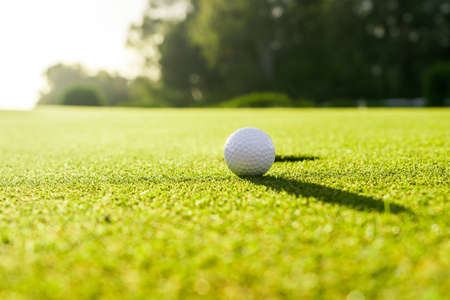 Golf ball on the green grass near hole on a golf course at sunsetの写真素材