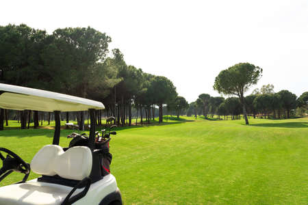 Set of golf clubs in golf bags in the back of a golf cart on a beautiful golf course with pinesの写真素材
