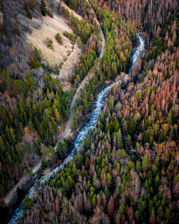 Top view of mountain road in forest with blue riverの写真素材