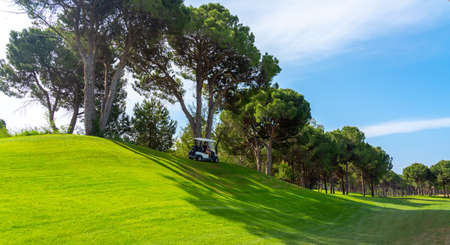 Panoramic view of beautiful golf course with buggy and pines on sunny day. Golf field with fairway, lake and pine-treesの写真素材