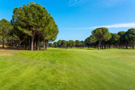 Panoramic view of beautiful golf course with pines on sunny day. Golf field with fairway, lake and pine-treesの写真素材