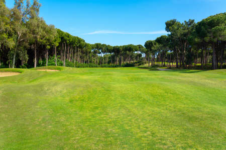 Landscape view of beautiful golf course surrounded with pines in Turkey Belekの写真素材
