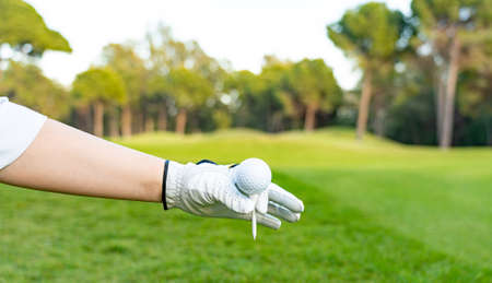 Golfers hand putting the golf ball from the tee on the greenの写真素材