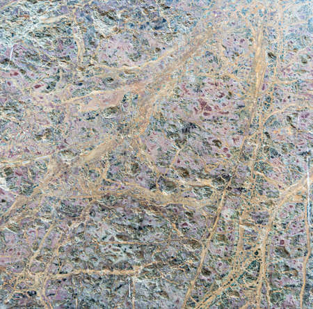Marble with a dense network of veins on the surfaceの写真素材