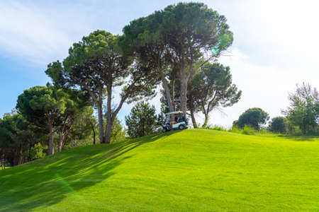 Panoramic view of beautiful golf course with buggy and pines on sunny day. Golf field with fairway, lake and pine-treesの写真素材