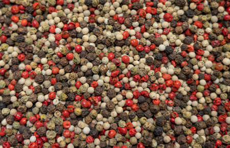 Mix of black red and white pepper seedsの写真素材