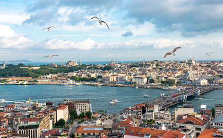 Istanbul panorama with Galata bridge and seagulls, skyline with Golden Horn straitの写真素材