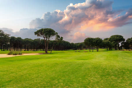 Panoramic view of beautiful golf course with pines with dramatic sky and cloudsの写真素材