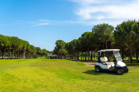 Panoramic view of beautiful golf course with buggy and pines on sunny day. Golf field with fairway, lake and pine-treesの写真素材
