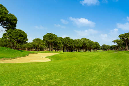 Landscape view of beautiful golf course surrounded with pines in Turkey Belekの写真素材