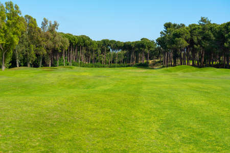 Panoramic view of beautiful golf course with pines on sunny day. Golf field with fairway, lake and pine-treesの写真素材