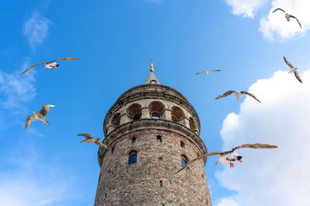 Galata Tower in Istanbul Turkey, famous turist destination in Istanbul with seagullsの写真素材