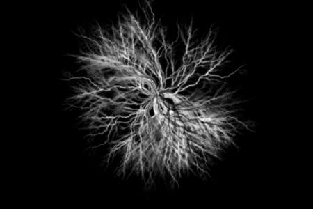 A ball of monochrome lightning bolts isolated on a black backgroundの写真素材