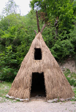 Small wood primal hovel in forestの写真素材