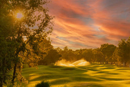 Golf course in the evening under a bright sunset skyの写真素材