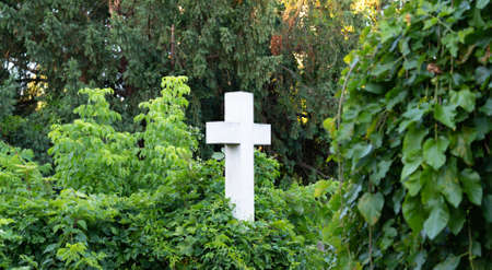 White Christian cross in an old cemetery in a thicket of greeneryの写真素材