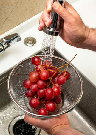 Washing red grapes in a strainer under running waterの写真素材