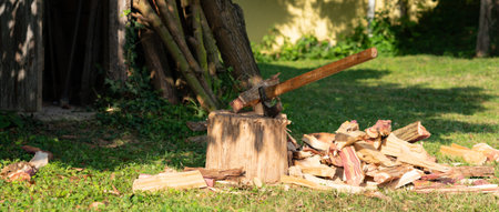 Firewood in Europe as fuel for a cold winter in an energy crisis