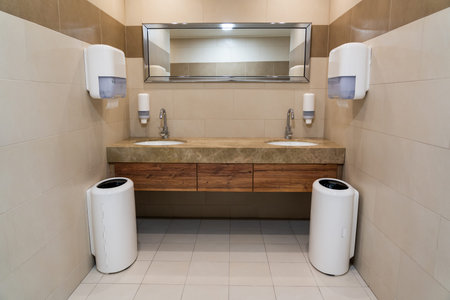 Symmetrical sinks in a modern public toilet with paper towels and soap dishes