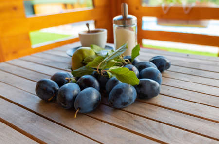 A scattering of ripe fresh plums on the table collected in the summerの写真素材