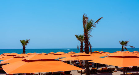 Seascape over a solid array of bright orange sun umbrellasの写真素材
