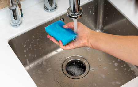 A close-up of a blue sponge being washed under running water in a stainless steel kitchen sink, ensuring cleanliness and hygiene.の写真素材