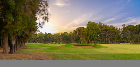 A serene golf course lined with tall trees, illuminated by the soft glow of an evening sky, offering a tranquil outdoor escape.の写真素材