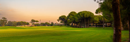 A panoramic golf course framed by tall trees and bathed in the warm glow of twilight, offering a serene and relaxing environment.の写真素材