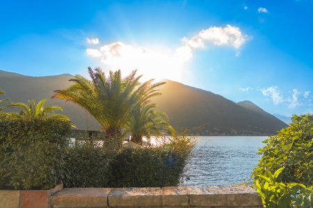 A breathtaking sunset illuminating palm trees, mountains, and the serene waterfront, capturing the essence of tropical tranquility.の写真素材