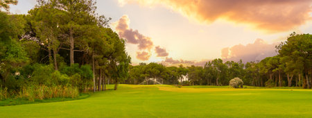 A picturesque golf course surrounded by lush trees, illuminated by the golden hues of a peaceful sunset sky, perfect for relaxation.の写真素材