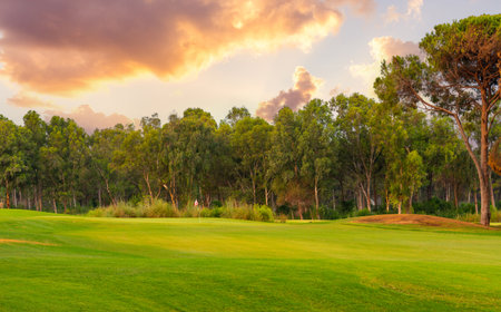 A peaceful golf course surrounded by dense trees, illuminated by the warm hues of a vibrant sunset sky, creating a serene retreat.の写真素材