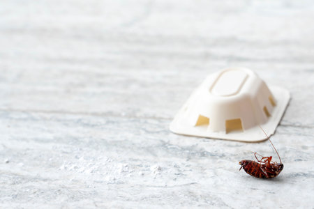 Insect problem with a cockroach and a pest control bait