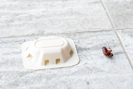 Cockroach infestation shown near a bait trap indoorsの写真素材
