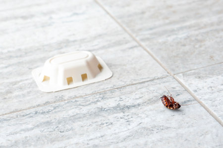 Cockroach struggling by pest trap on bathroom floor