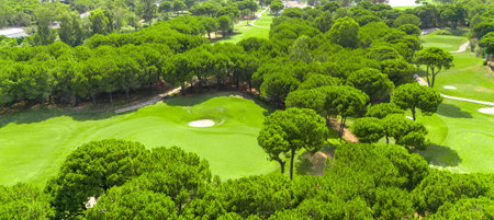 Aerial view of a golf course surrounded by lush green trees and a sand bunkerの写真素材