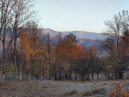 Autumn landscape with colorful forest and mountains in the background at sunsetの写真素材