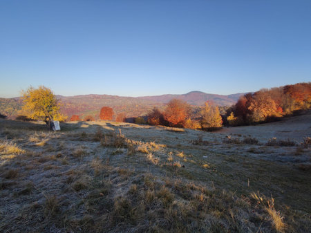 Autumn landscape with colorful trees in the mountains and blue sky.の写真素材