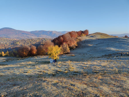 Autumn landscape of Vitosha Mountain, Sofia City Region, Bulgaria