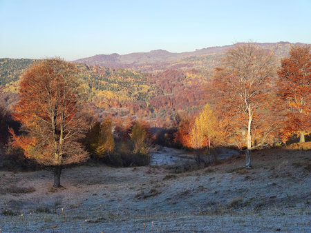 Autumn Landscape of Bieszczady Mountains in Polandの写真素材